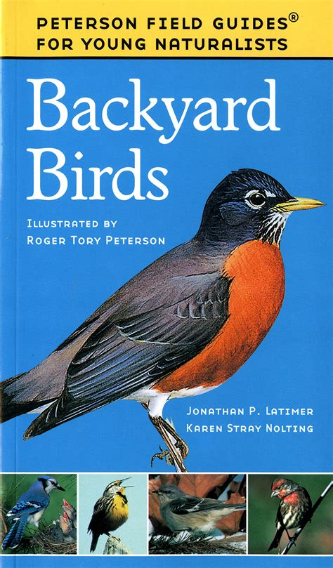 Bird Books for Kids, as Recommended by Teachers