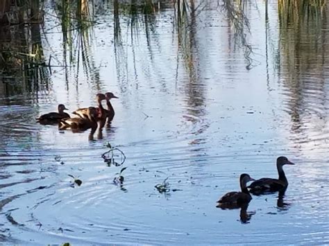 lovemycamper: Alafia River State Park