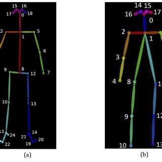 Openpose Can Track Human Pose Skeletons Using Either A Body Or