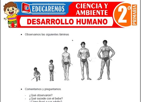 El Desarrollo Humano Para Segundo De Primaria Actividades Nbkomputer