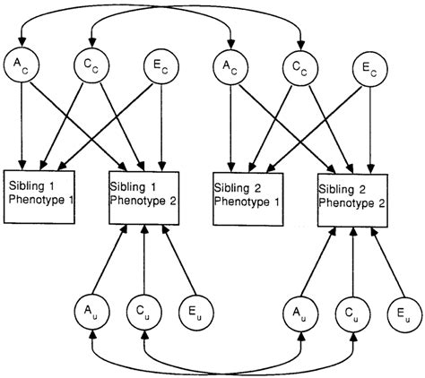 Full Bivariate Genetic Model Illustrating Both Siblings The Latent