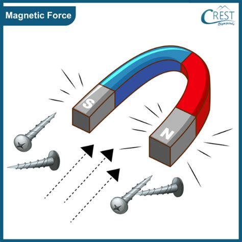 Types Of Forces Class Notes Science Olympiad