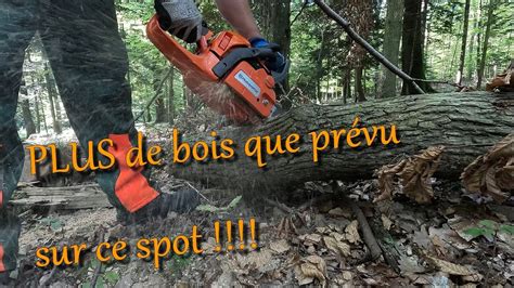 EN MODE BUCHERON DE RETOUR DANS LES BOIS YouTube