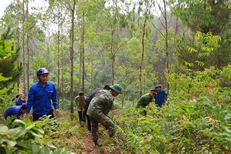 Bảo Vệ Hệ Sinh Thái Rừng Khộp Duy Nhất ở Việt Nam Trong Mùa Khô