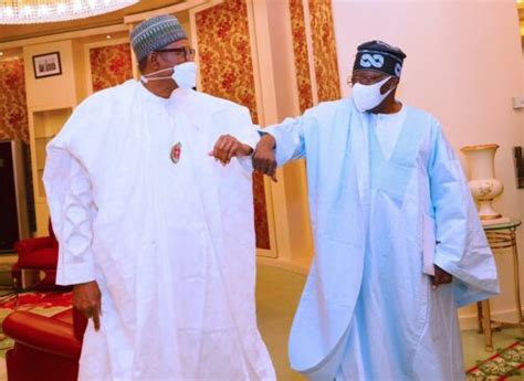 Buhari To Campaign For Tinubu In Yobe Kwara Rivers 7 Other States