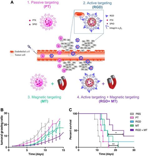 Stimuli Responsive Nanocarriers For Drug Delivery Tumor Imaging