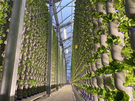 Is A Vertical Farming Business Profitable Eden Green