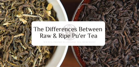 Differences Between Raw And Ripe Puer Tea Wwtea 环球茶叶