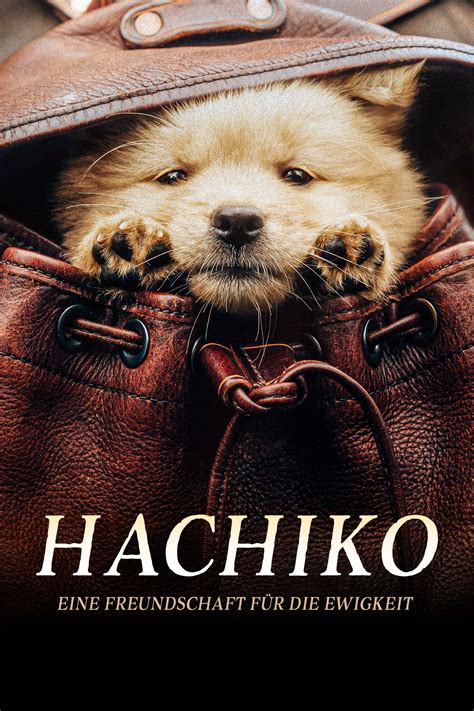 Hachiko: Eine Freundschaft für die Ewigkeit! (2024) Film-information ...