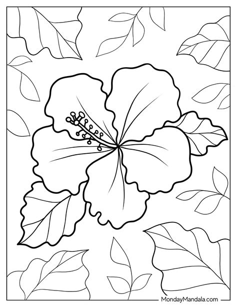 53 Flower Coloring Pages (Free PDF Printables)