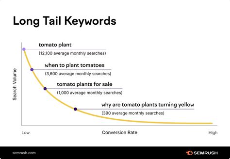 Long Tail Keywords Definition And How To Leverage Them