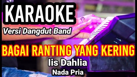 Bagai Ranting Yang Kering Iis Dahlia Karaoke Dut Band Mix Nada Pria