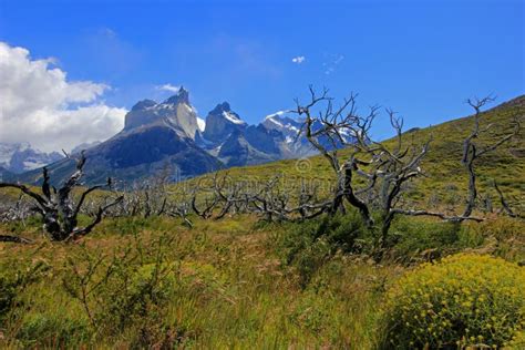 Cuernos Del Paine Mountain Peaks, Patagonia, Chile Stock Photo - Image of destination, hiking ...