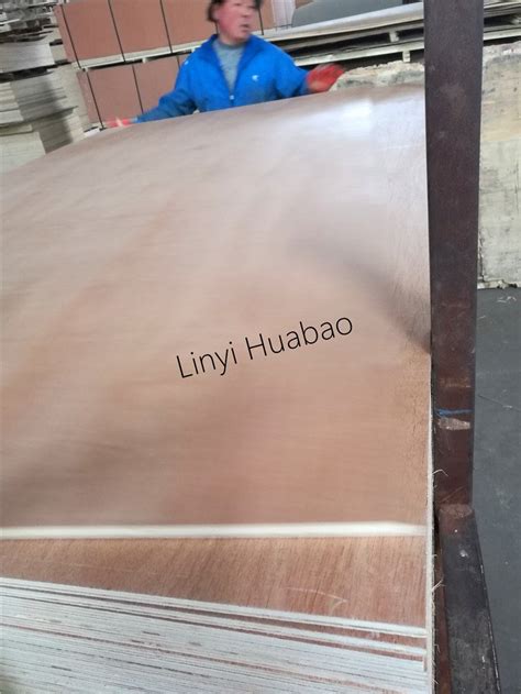 Bintangor Red Meranti Okoume Plywood Commercial Plywood Bb Cc Grade