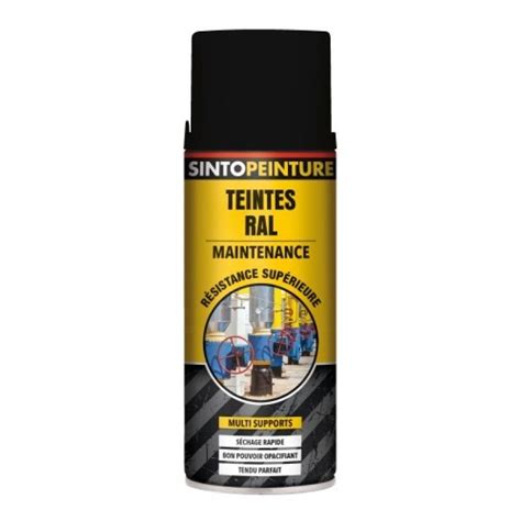 Peinture Multi Supports Sintopeinture Pro Gris Anthracite Ral 7016