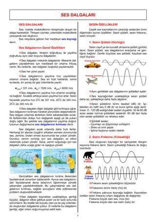 Ses Dalgaları Konu Anlatım Özet PDF