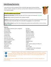 Green Identifying Nutrients Lab Docx Pdf Identifying Nutrients