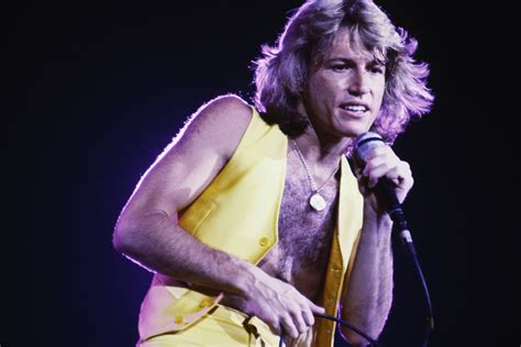 1970s pop star Andy Gibb, gone but not forgotten, is the subject of a
