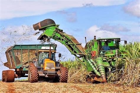 Moagem De Cana E Produ O De Etanol Tem Crescimento Agron