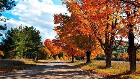 Wallpaper autumn, road, trees, leaves, yellow, shades hd, picture, image