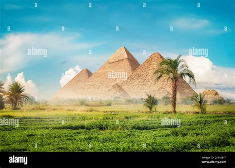 Egyptian Pyramids In Green Field At Foggy Morning Stock Photo Alamy