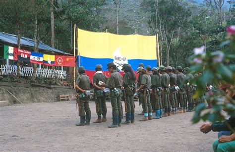 Guerrillas En Colombia Dudas Y Respuestas A Una Realidad Compleja