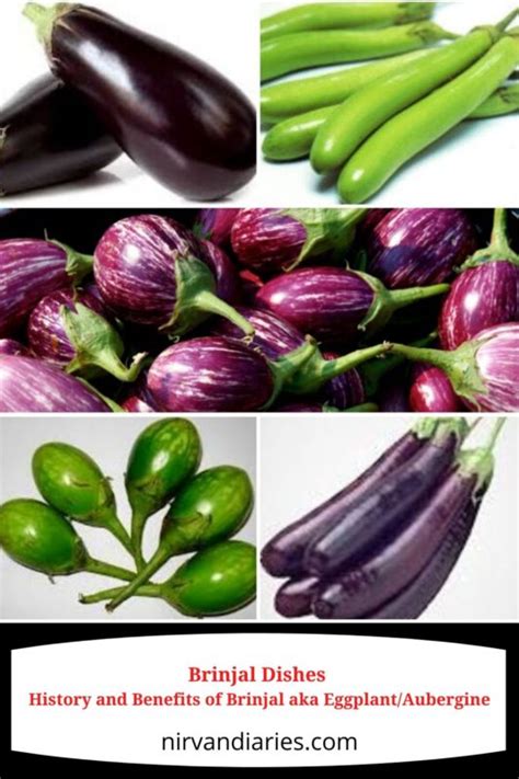 Brinjal Dishes History And Benefits Of Brinjal Aka Eggplant Aubergine