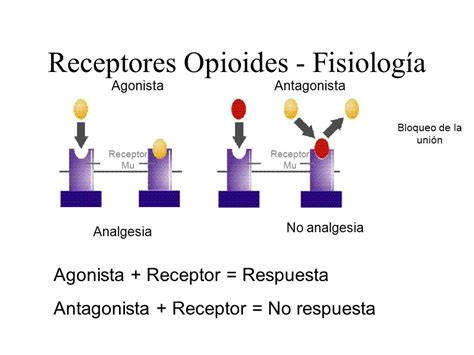 Fernando Galán Galán Profesor Titular de Medicina Medicina Interna