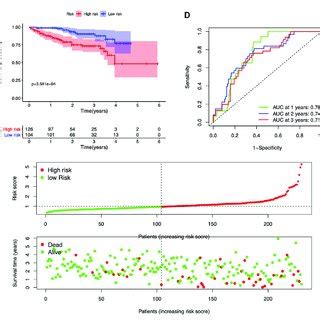 Validation Of The Seven Gene Risk Model In The Icgc Dataset A