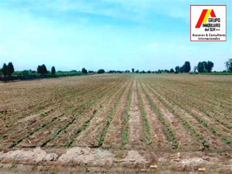 Terreno En Venta En Independencia Pisco Hectareas U D