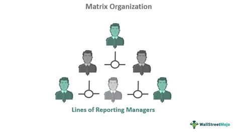 Matrix Organization - What Is It, Structure, Types, Examples