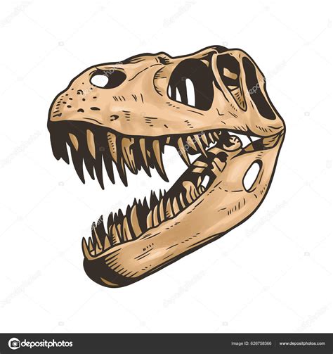 T Rex Bones Clip Art