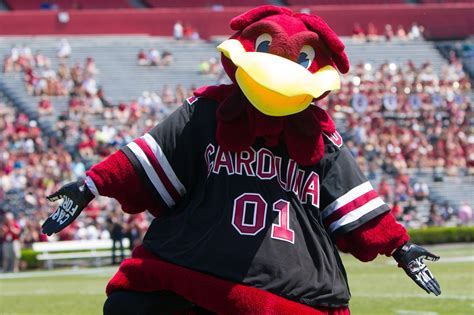 University Of South Carolina Columbia Mascot at Columbia University