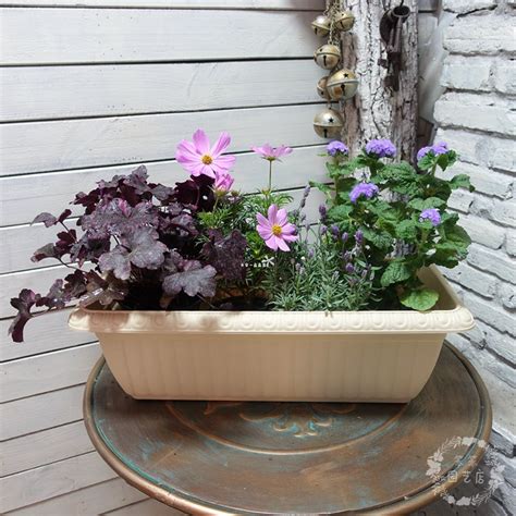 Купить Цветочный горшок Пластиковый прямоугольный цветочный горшок ...