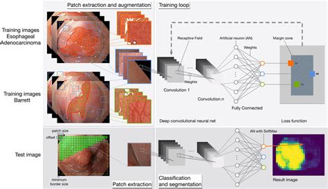 Illustration Of The Deep Learning System The Training Of The Augsburg Download Scientific