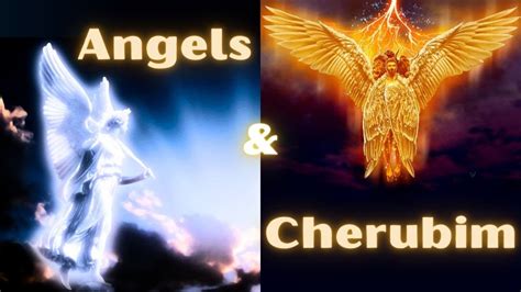 Angels And Cherubim Explained Who They Are And What They Do Bonus