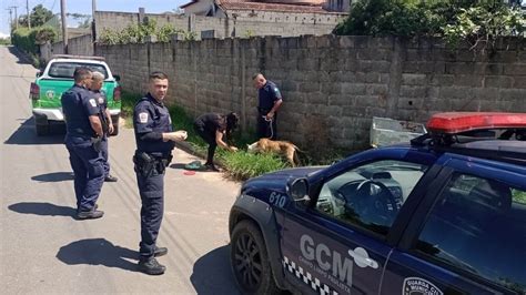 Guarda municipal de Campo Limpo Paulista resgata cão em situação de