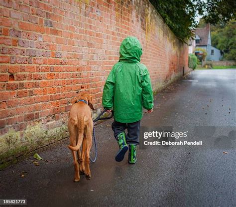 how to walk dog in rain