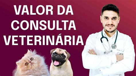 Medicina Veterinaria Quanto Custa - 9