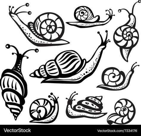 Set Black And White Snails Royalty Free Vector Image