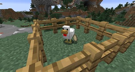 How To Grow A Chicken From An Egg In Minecraft Step By Step Guide