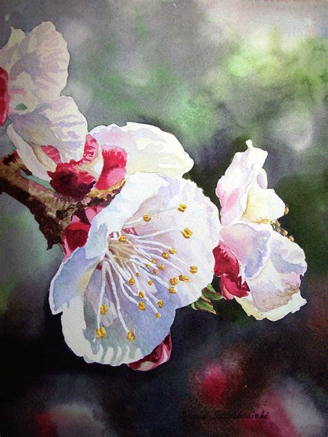 Apricot Flowers Painting by Irina Sztukowski