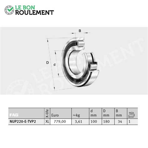 Roulement Rouleaux Cylindriques Nup E M Fag Le Bon Roulement