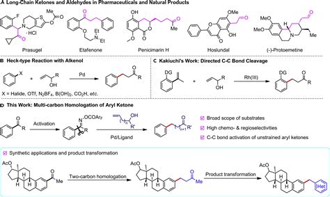 Homologation Of Aryl Ketones To Long Chain Ketones And Aldehydes Via C