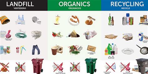 Sorting And Recycling Chart Recycling Organic Recycling Garbage