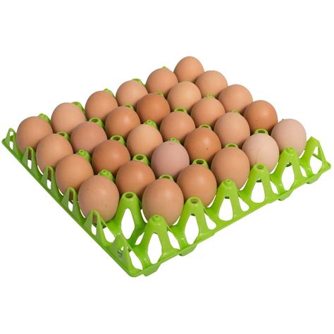 Plastic Egg Tray Holds 30 Eggs The Chookyard