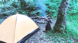 Real Sex In The Forest Fucked A Tourist In A Tent