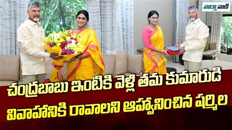 YS Sharmila Meet Chandrababu Naidu CM Jagan YCP TDP CONGRESS