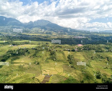 Aerial View Of A Small Part Of The Golo Cador Rice Terraces In Ruteng