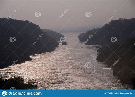 River Victoria Nile Uganda Stock Image Image Of Hornbill Flora